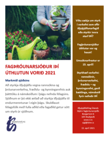 Auglys_vor_21