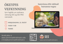 Vefkynning-22.agust-2023